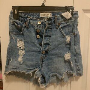 Abercrombie and Fitch Curve Love Mom Shorts